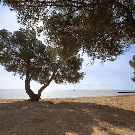 Le Belvedere By Interhome La Londe-les-Maures