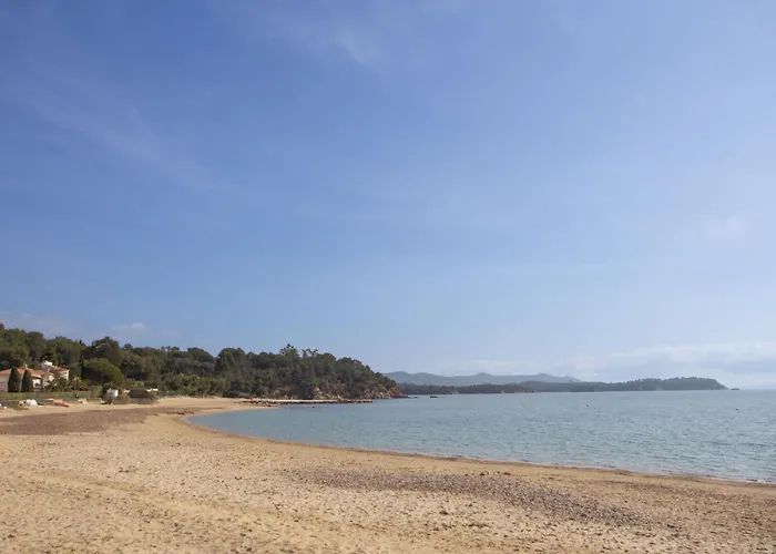 Le Belvedere By Interhome Casa de Férias La Londe-les-Maures