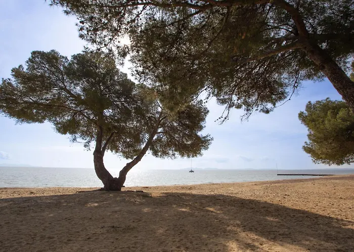 Le Belvedere By Interhome La Londe-les-Maures